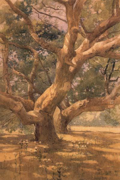 Oaks and Shadows, unknow artist